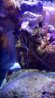WP_20150217_22_00_47_Pro.jpg