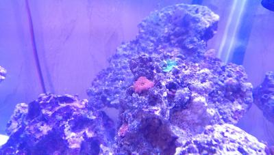 IMAG3417.jpg