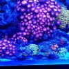 20160121_210315.jpg