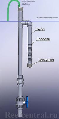 Дюрсо.jpg