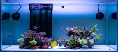 fts_140418.jpg