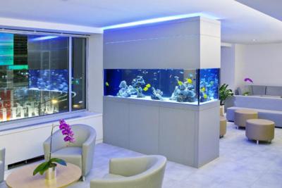 aquarium-house-designrulz-7.jpg
