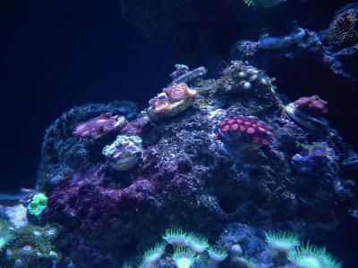 IMG_1581.jpg