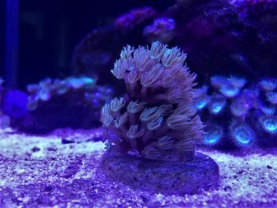 IMG_1590.jpg