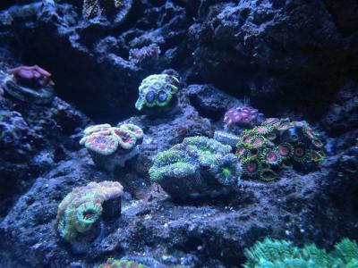 IMG_1579.jpg