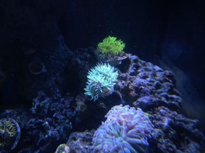 IMG_1542.JPG