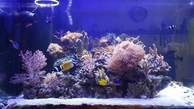20170202_123913.jpg
