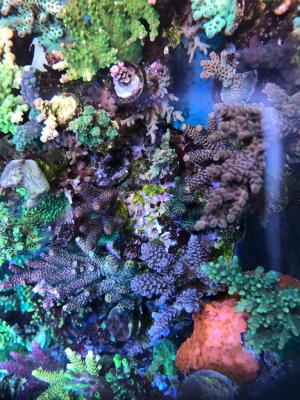 IMG_9584.JPG