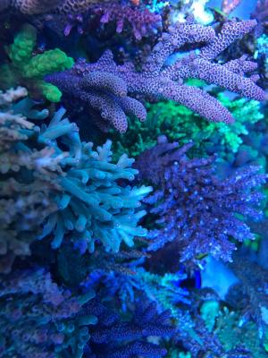 IMG_9621.JPG