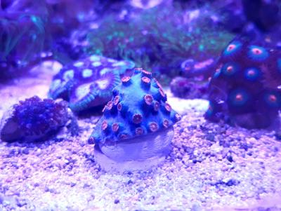 20180206_185211.jpg