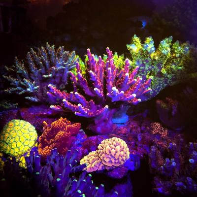 358C8F19-8C26-4EC8-BEDB-0848E50734A0.jpg