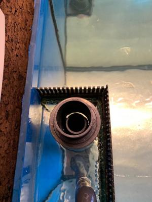 WhatsApp Image 2019-02-27 at 09.27.45(1).jpeg