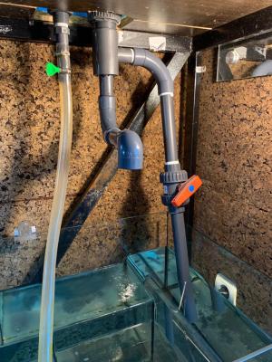 WhatsApp Image 2019-02-27 at 09.27.45(2).jpeg