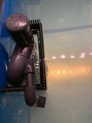 WhatsApp Image 2019-02-22 at 23.57.09.jpeg