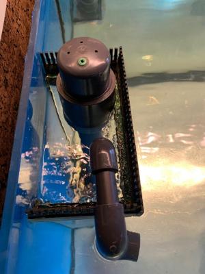 WhatsApp Image 2019-02-27 at 09.27.45.jpeg