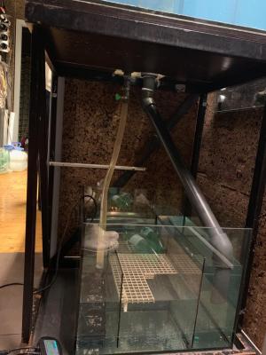 WhatsApp Image 2019-02-22 at 23.57.09(2).jpeg