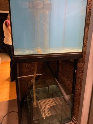 WhatsApp Image 2019-02-22 at 23.57.09(1).jpeg