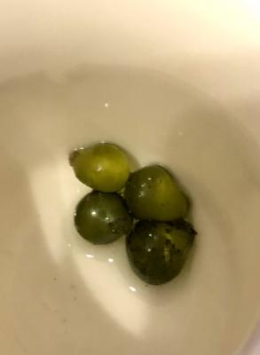 8AD875CA-A628-4870-8E46-DF3B5F4102D0.jpeg