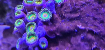20220212_143918.jpg