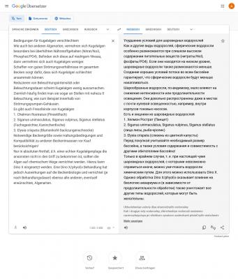 Screenshot 2023-02-16 at 21-12-46 Google Übersetzer.jpg