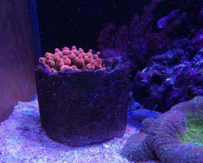 20230202_201241.jpg
