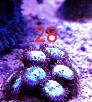 IMG_20240202_230432_Iw02fxD553.jpeg