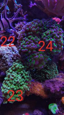 IMG_20240202_225832_KPm2FlHG3q.jpeg