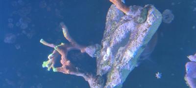 IMG_20250228_111122.jpg
