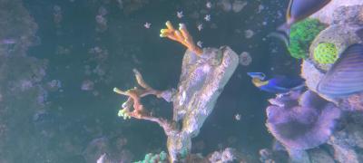 IMG_20250228_111116.jpg