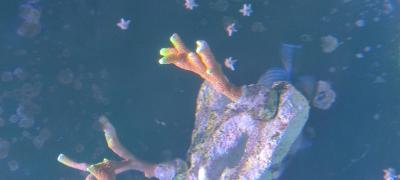 IMG_20250228_111121.jpg
