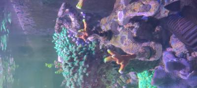 IMG_20250228_111109.jpg