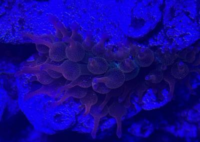 IMG_8296.jpeg