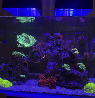 Снимок экрана 2026-02-08 в 10.33.02.png