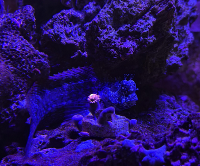 Снимок экрана 2026-02-08 в 10.32.48.png