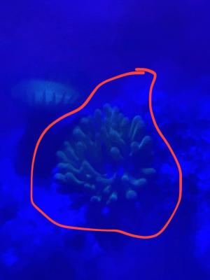 IMG_3929.jpeg