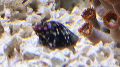 IMG_20260218_142849.jpg