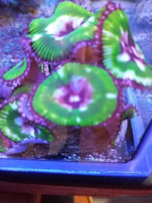 IMG_20200530_133051.jpg