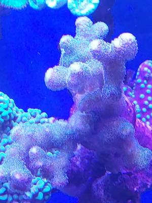 20250410_110158-2.jpg