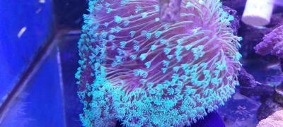20250705_122605.jpg