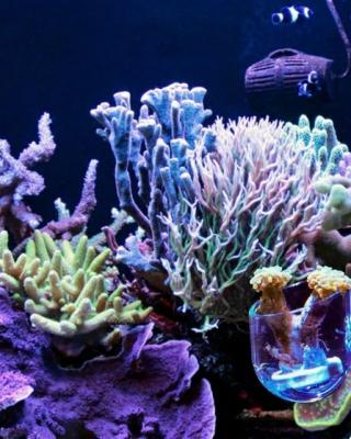 Снимок экрана 2026-02-23 110325.jpg