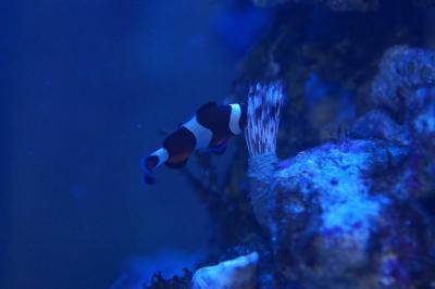 DSC03134_новый размер.JPG