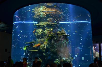 LED-Lighting-for-Public-Aquarium.jpg