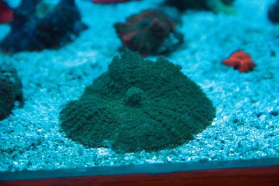 IMG_4553.jpg