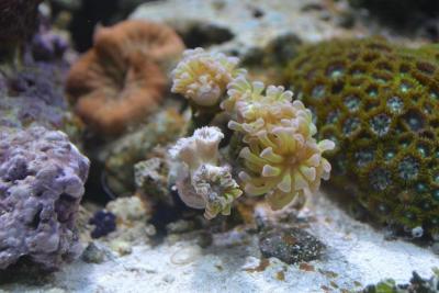 DSC_0214.JPG