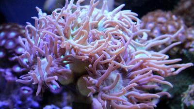 IMG_2113 (2) (1024x576).jpg