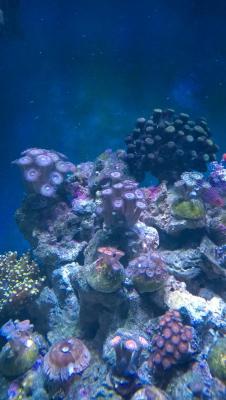 WP_20150321_19_02_56_Pro.jpg
