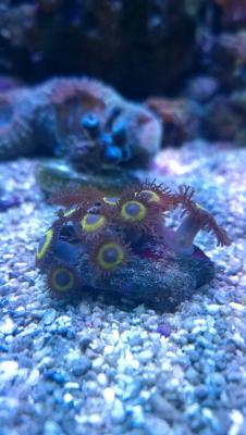WP_20150321_006.jpg