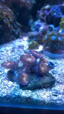 WP_20150321_19_29_36_Pro.jpg