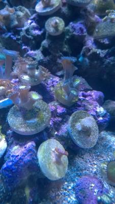 WP_20150321_19_02_19_Pro.jpg