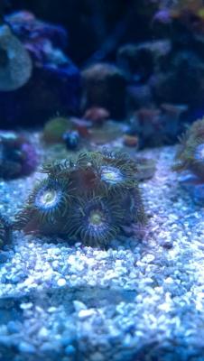 WP_20150321_19_00_12_Pro.jpg